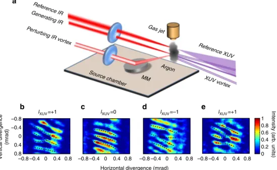 Figure 3 | Characterization of wavefronts and modulation of topological charges. (a) Schematic of the interferometric wavefront characterization procedure