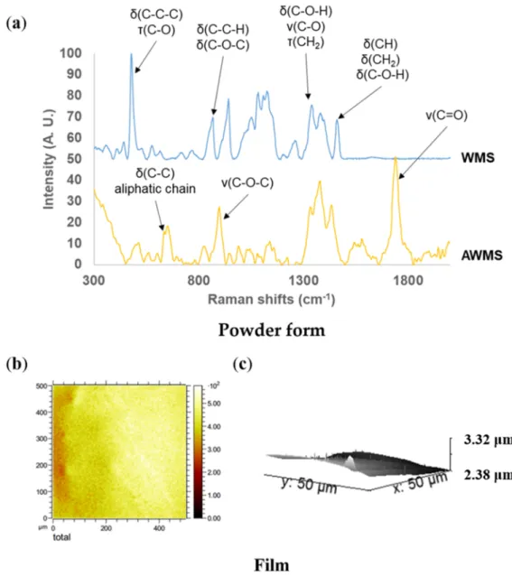 Figure  4.  Surface  characterization  of  acetylated  waxy  maize  starch  (DS  2.6)
