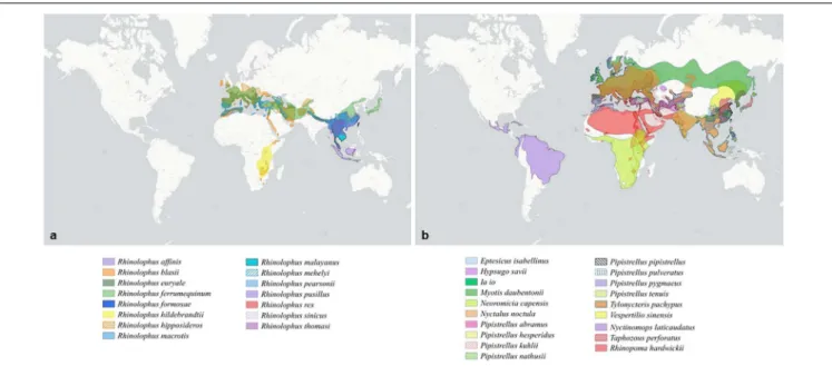 FIGURE 1 | Distribution of bat species according to the group of coronavirus. (a) Distribution of bat species displaying an ACE2 receptor and associated with Sarbecoviruses