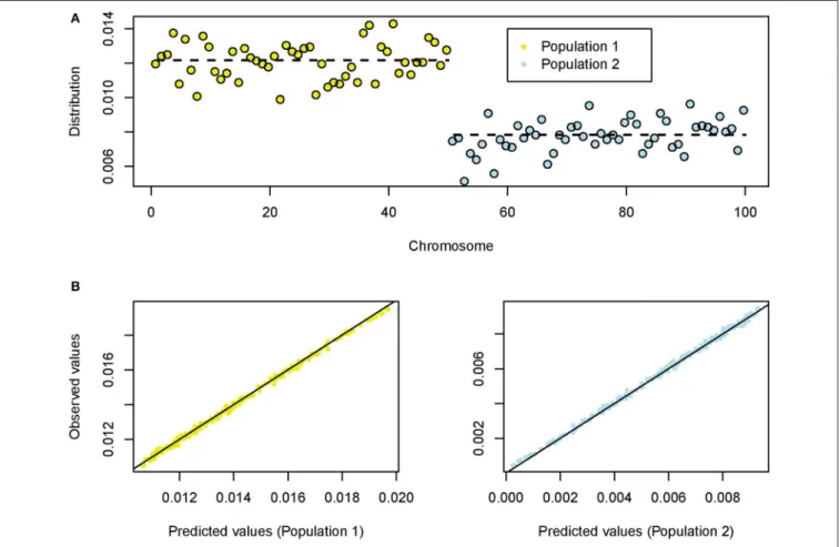 FIGURE 2 | Coalescent simulations of two splitting populations (100 chromosomes). (A) Empirical distribution of singletons for a value of the shrink rate s = 0.33
