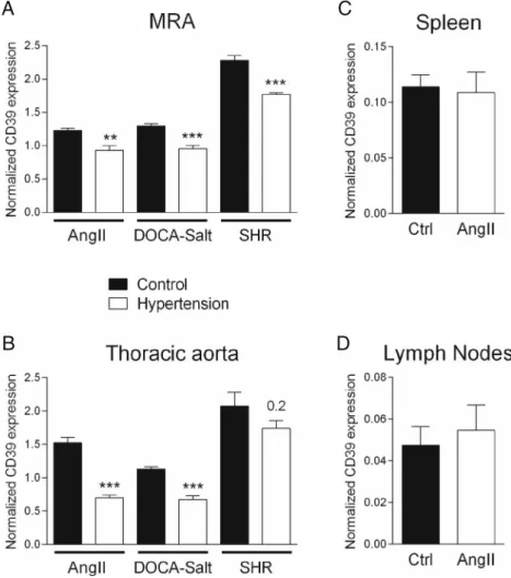 Fig. 1 Alteration of vascular CD39 mRNA expression in hypertensive mice. Vascular CD39 mRNA expression in ( a ) MRA and ( b ) thoracic aorta in three different models of hypertension (AngII-infused mice n = 7, DOCA-salt mice n = 6, WKY and SHR rats n = 5)