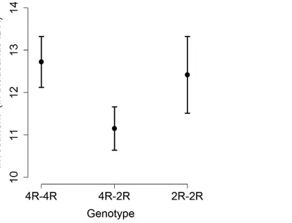 Figure 2.  Average investment (in IDR) in the risky option, as a function of an individual’s genotype