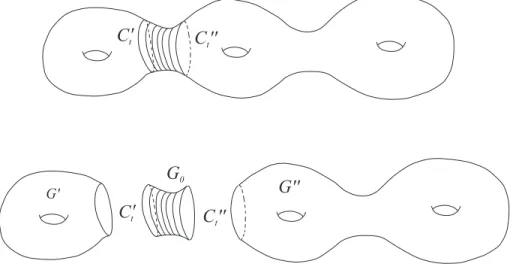 Figure 1: Cutting out a cylinder around C 0 .