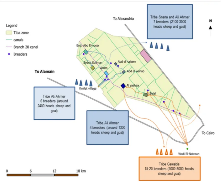 FIGURE 4 | Herd grazing circuits for the three Bedouins tribes in the Tiba zone (based on interviews).