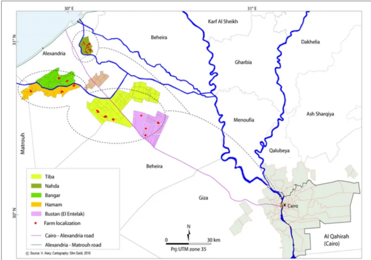 FIGURE 1 | The geographical location of the selected zones in the New reclaimed lands of the western part of Nile Delta (Egypt) (extracted from Alary et al., 2016, http://agritrop.cirad.fr/584660/).