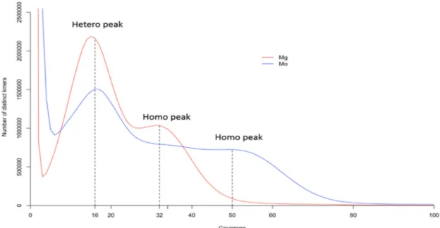 Figure 4. The 25-mer distributions of M. graminicola (red) and M. oryzae (blue) genomes