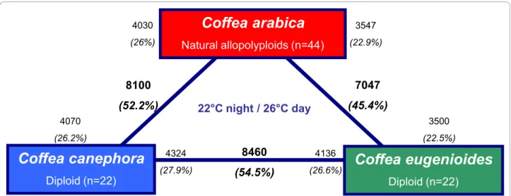 Figure 5 Transcriptome divergence between C. arabica, C. canephora and C. eugenoïdes. Bold text indicates the total number and fraction of genes that were defined as differentially expressed between each comparison