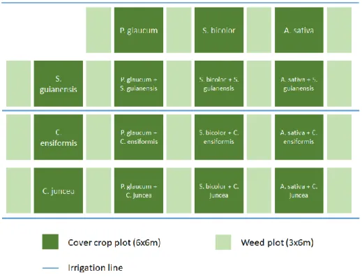 Fig A8. Experimental design of the weed control trial ID 8 in La Mare 2016 