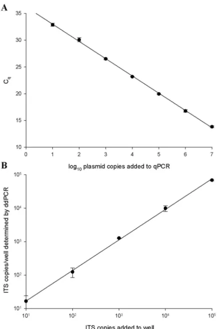 Fig 3. ITS-targeted qPCR assay linearity assessed by standard curve (A) or ddPCR calibration curve (B).
