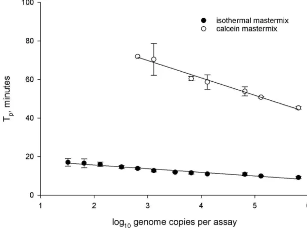 Fig 4. cpn60-targeted LAMP assay linearity assessed by expressing T p related to C. purpurea genome copies using the two LAMP detection systems evaluated in this study