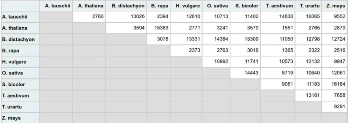 Table 2. Number of commonly predicted orthologs between Ensembl Plants (release 33) and Plant Orthology  Browser (POB) for six pairs of species.