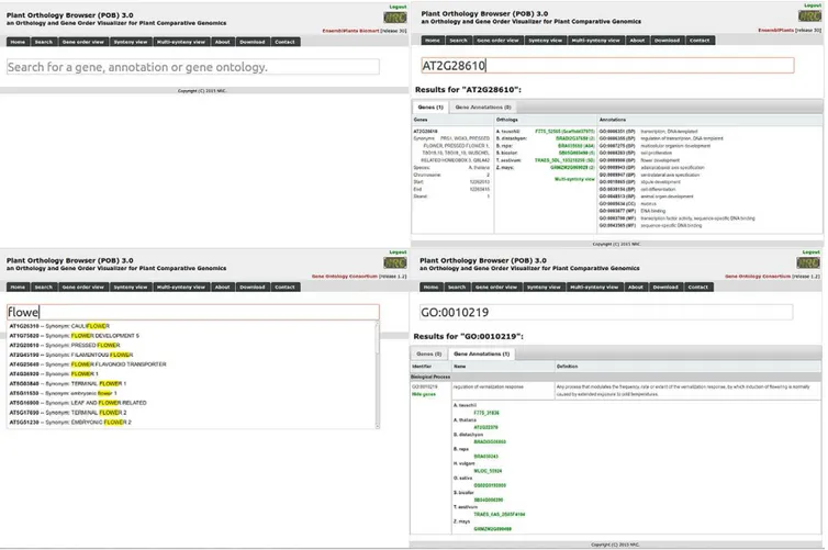 Fig. 8. The search module implemented in Plant Orthology Browser (POB). Top left figure depicts the main page of the search module