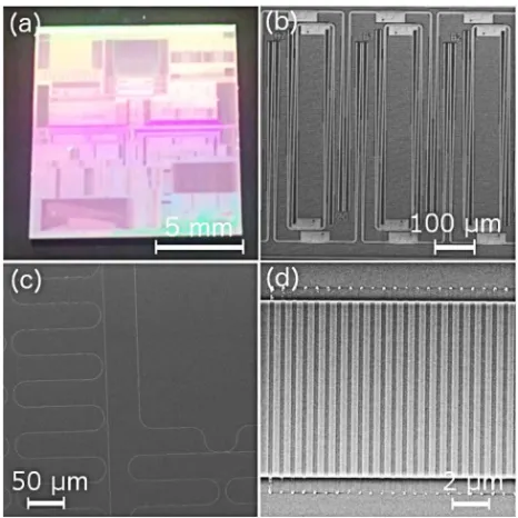 Fig. 5. (a) Full-view optical image of a silicon photonic chip containing a large number of NOMS devices fabricated by IMEC, Leuven, Belgium