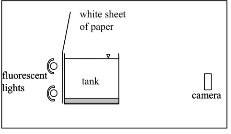 Figure 3-3: Sketch of the relative positions of the lights and camera with respect to the tank.