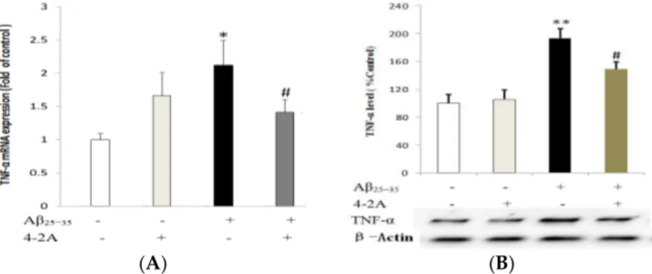 Figure 7. The expression of pro-inflammatory cytokine tumor necrosis factor-alpha (TNF-α)