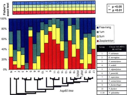 Figure 6.  Summary of vibrio  clades  and associations  with  microenvironments a.  normalized  graph  showing  the distribution  of clades between  different  size