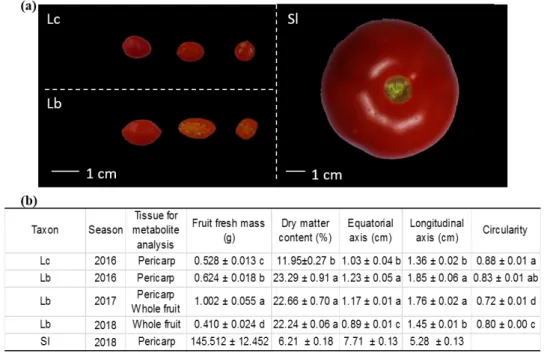 Figure 2. (a) Variations in morphological traits of 2 goji (Lycium chinense (Lc) and Lycium barbarum  (Lb)) and tomato fruits Solanum  lycopersicum (Sl)