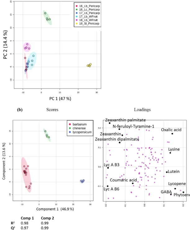 Figure 3. Multivariate analysis of the whole dataset, including 126 metabolites (peak intensities  normalized by sample dry weight, log transformed and Pareto scaled) analyzed in 24 samples