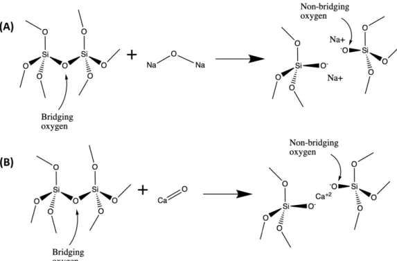 Figure 1-6: Schematic reactions showing introduction of (A) alkali and (B) alkali earth species into the silicate glass network, creating NBOs in the process as labeled.