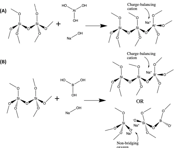 Figure 1-7: Schematic reactions showing introduction of (A) aluminum and (B) boron an alkali silicate glass network