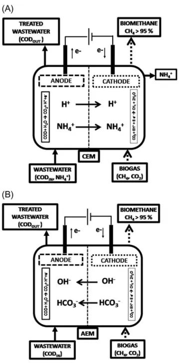 Figure 3. Microbial Electrolysis Cell (MEC) aimed at wastewater oxidation and biogas upgrading equipped with a cation exchange membrane (A) and anion exchange membrane (B).