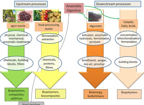 Figure 4. Cascading activities around anaerobic digestion (upstream and downstream proc- proc-esses) to valorise agro and food processing waste.