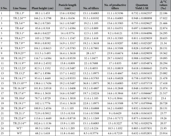 Table 1.   Phenotypic characterization, Quantum yield, and  ∆ 13 C values of low, medium and high  AtTOR expression rice transgenic lines with respect to wild type