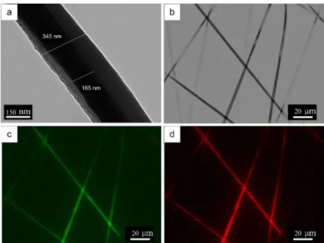 Figure  7.  Core-shell  structures  of  the  SF-SELP  nanofibers:  (a)  transmission  electron  microscopy  (TEM)  image  and  (b)  phase-contrast  image  of  fibers;  (c)  fluorescent  image  showing  fluorescein  isothiocyanate  (FTIC)–dextran  stained  