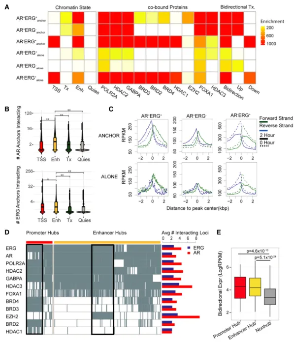 Figure 3. Regulatory signatures of the AR and ERG interactome in prostate cancer. (A) Dissecting AR/ERG binding sites into six categories based on AR/