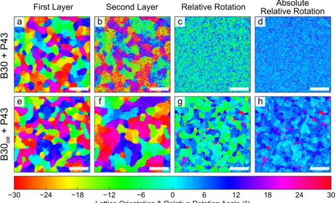 Figure S6. Dot pattern maps as described in Figure 5 for B30+P43 (a-d) and B30 oe +P43 (e-h)  where the B30 was etched longer to decrease the particle size (B30 oe )