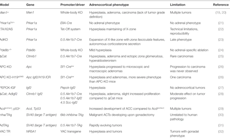 TABLe 1 | Current mouse models of adrenocortical tumors and their limitations.