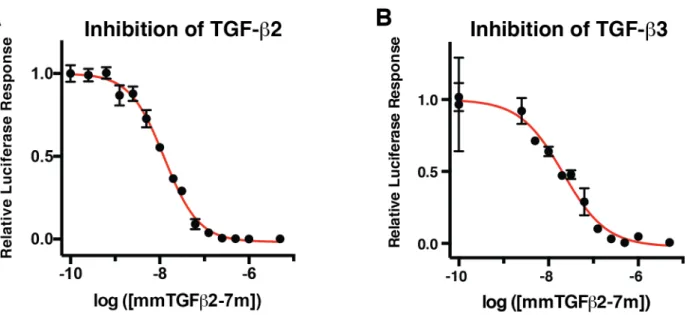Figure S4. Inhibition of TGF-b2 and TGF-b3 by mmTGF-b2.  A ,  B . TGF-b luciferase reporter activity  for cells treated with a fixed concentration of TGF-b2 (20 pM) ( A ) or TGF-b3 (10 pM) ( B ) and  increasing concentrations of mmTGF-b2-7M