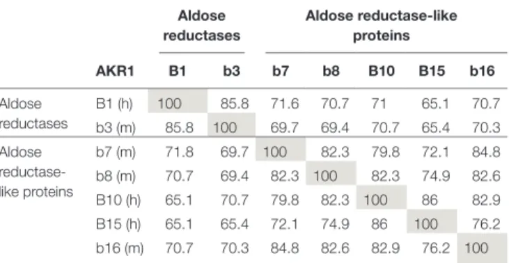 TABLe 1 | Comparison of protein sequence identity (%) between human  (h) and murine (m) AKR1B proteins.