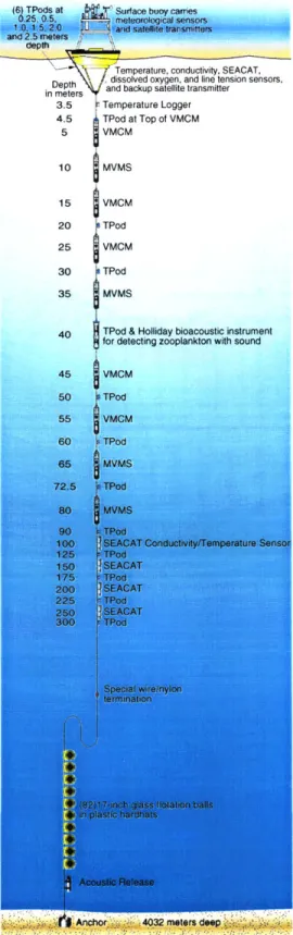 Figure 2.3  A  schematic  of the  subsurface elements  on the Arabian  Sea mooring.