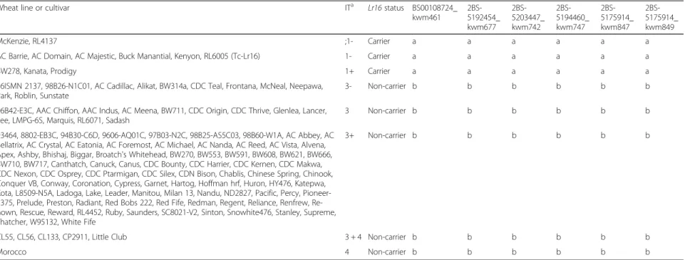 Table 2 Haplotype data of wheat lines with six SNP loci co-segregating with Lr16