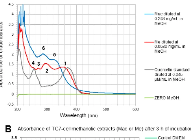 Figure 5. (A) UV-Vis spectra of crude aqueous extract (Mac), crude ethanolic extract (Me) and purified aglycone quercetin  from Sigma, diluted in methanol at the indicated concentrations for absorbance measurement