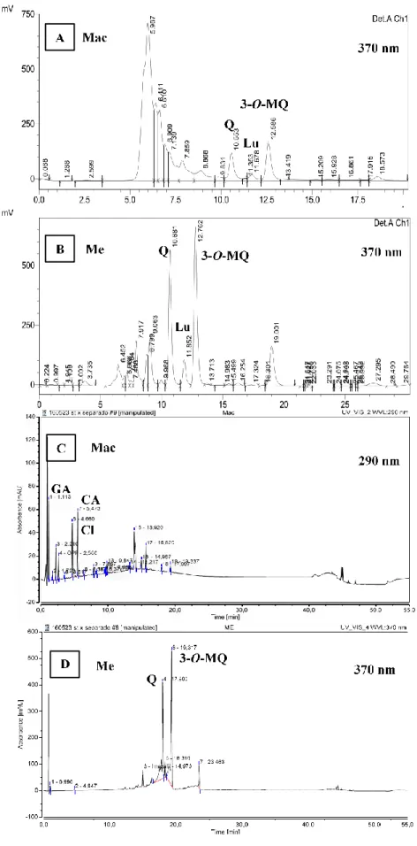 Figure 1. RP-HPLC chromatogram at 370 nm of samples aqueous extract (Mac 10 mg/mL) (A) and ethanolic extract (Me 1 mg/mL) (B)