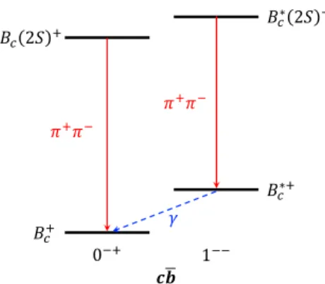 Figure 1: Transitions among the B c (∗) (2S) + and B c (∗)+ states.