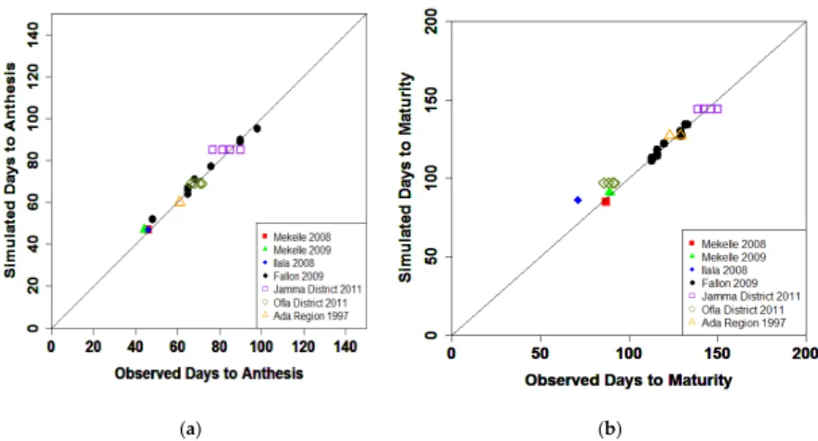 Figure 2. Model performance for (a) anthesis and (b) maturity, in terms of days after planting