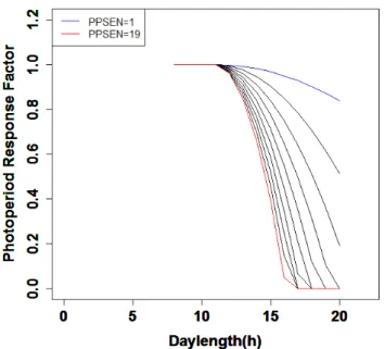 Figure 1. The photoperiod response factor in response to daylength using a photoperiod sensitivity  parameter (PPSEN) ranging from 1 (blue) to 19 (red)