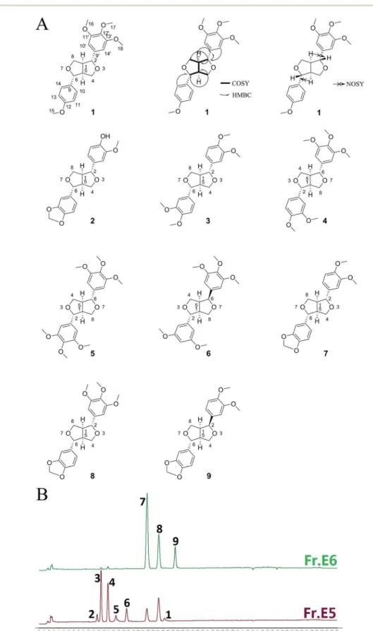 Fig. 1 Chemical structures of nine compounds 1 – 9 extracted from Xin-Yi (A) and HPLC ﬁ ngerprints of the e ﬀ ective fractions, Frs