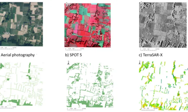 Figure 6. Hedgerow map classifications from an aerial photography (a), a SPOT 5 image (b), and a  TerraSAR-X image (c)