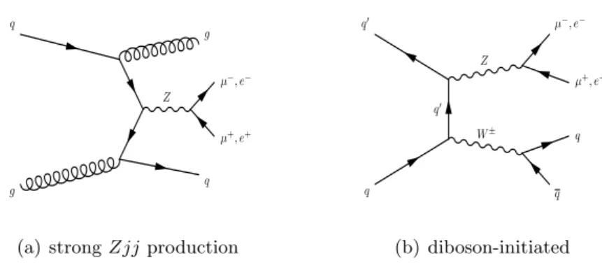 Figure 2. Examples of leading-order Feynman diagrams for (a) strong Zjj production and (b) diboson-initiated Zjj production.