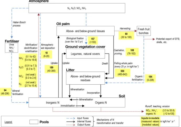 Figure 4. Comparison of measured and modelled N losses in oil palm plantations. The range of modelled values for leaching and runoff was wider than the one of measured values of leaching, runoff, and erosion
