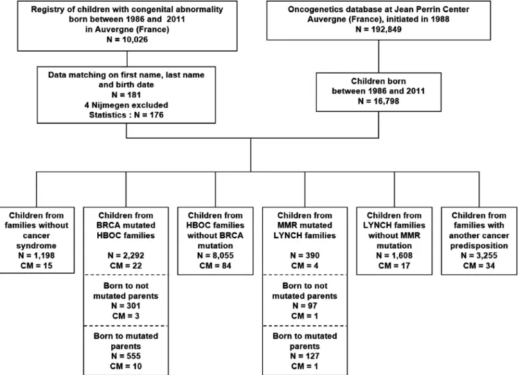 FIGURE 1 Data-matching flowchart of the regional registry of congenital malformations and CJP oncogenetics database (CM, congenital malformation; HBOC, hereditary breast/ovarian cancer; Lynch, Lynch syndrome)