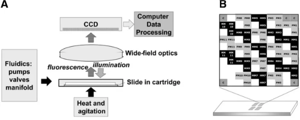Figure 1. Representation of the (A) live hybridization machine (LHM) and (B) spotting design on  one block among four identical ones.