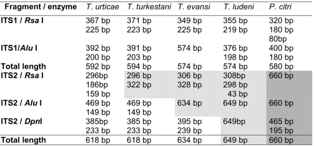 Table 4. ITS1 and ITS2 restriction fragment length differences between Tetranychus   urticae, T