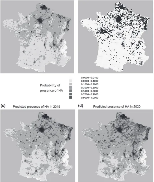 Figure 4. Predicted and observed spatial distributions of H. axyridis (HA) in France (a) predicted in 2011 from our modeling approach, (b)  observed in 2011 and to be compared with (a), (c) predicted in 2015 and (d) predicted in 2020.