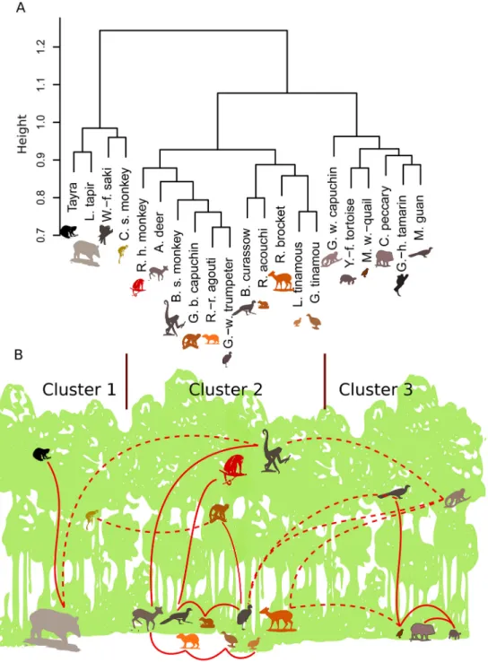 Fig. 6. (A) Cluster dendrogram of overall vertebrate assemblage based on Jaccard distance of species presence/