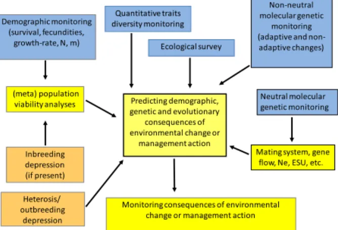 Figure 4 Planning research in Evolutionary conservation biology. Blue boxes correspond to demographic, ecological and genetic surveys (i.e.